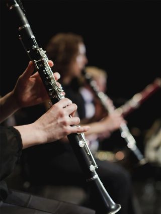 Už jste slyšeli o klarinetech Karel Sandner od GEWA? Máme je skladem, přijďte si je vyzkoušet! 🤗 #gewa #klarinet...